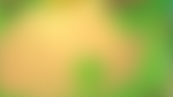 的第0张图片
