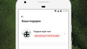 Изображение 0 для 