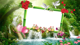 Image 0 pour 