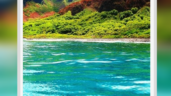の画像0