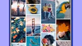 รูปภาพ 0 สำหรับ 