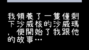 的第0张图片