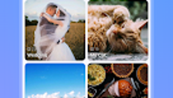 รูปภาพ 0 สำหรับ 