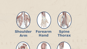 AnatomyMapp Lite