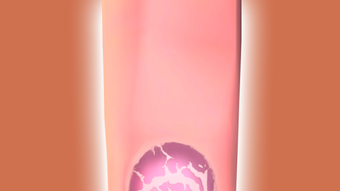 รูปภาพ 0 สำหรับ 