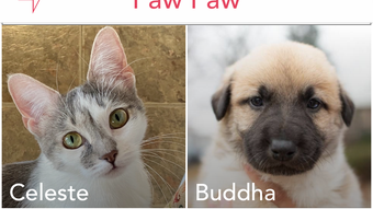  için 0 numaralı resim