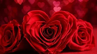 Immagine 0 per 