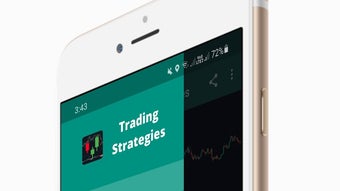 Forex Trading Strategies Guide