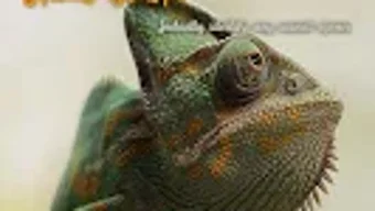 の画像0