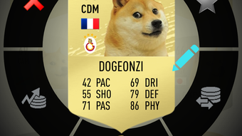 Dogefut 20