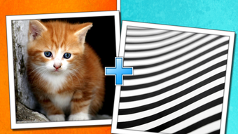  için 0 numaralı resim