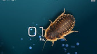 Изображение 0 для 