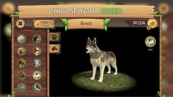  için 0 numaralı resim