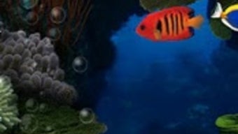 Aquarium Live Wallpaper APK