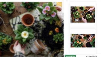 รูปภาพ 0 สำหรับ 