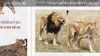 รูปภาพ 0 สำหรับ 