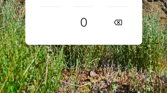 の画像0