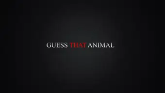 Guess That Animal