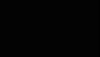 의 이미지 0