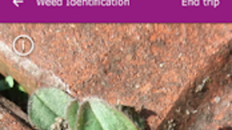 Изображение 0 для 