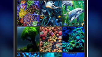 รูปภาพ 0 สำหรับ 