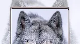 の画像0