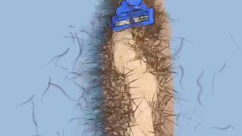الصورة 0 لـ 