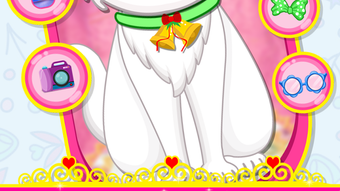 الصورة 0 لـ 