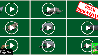 Green Screen HD Videos Download - FX Videos Free APK for Android - Download