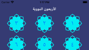 الصورة 0 لـ 
