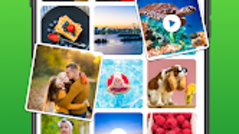 รูปภาพ 0 สำหรับ 