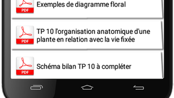 Image 0 pour 