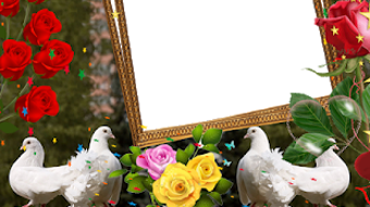 Изображение 0 для 