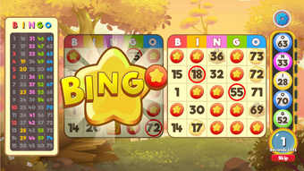 Bingo Pets - Free the Pets