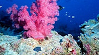 Image 0 for 