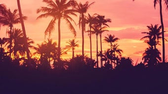 الصورة 0 لـ 