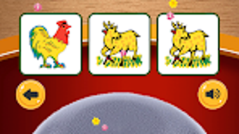 รูปภาพ 0 สำหรับ 