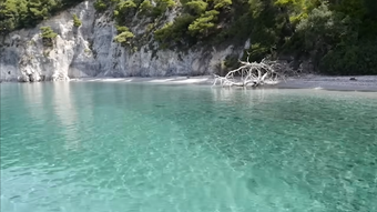 Изображение 0 для 