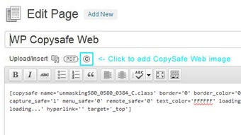 CopySafe Web Protection