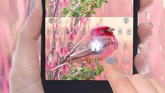 의 이미지 0