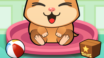 의 이미지 0