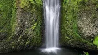 の画像0