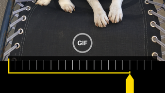 Изображение 0 для 