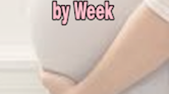 Pregnancy Week by Week