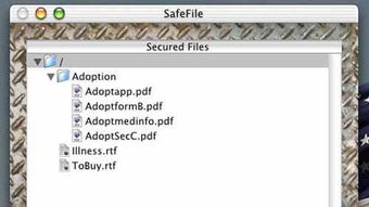 SafeFile