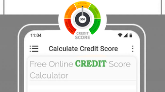 Credit Score Check  Report -