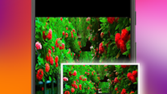 Изображение 0 для 