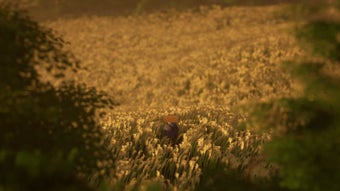 الصورة 0 لـ 