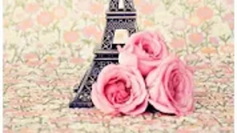 รูปภาพ 0 สำหรับ 
