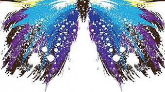 Immagine 0 per 